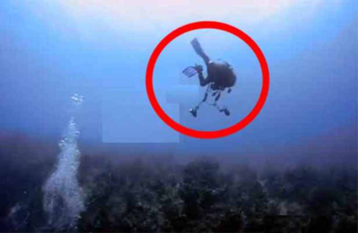 ΔΕΙΤΕ προσεκτικά τι θα συμβεί στον δύτη μέσα στο βυθό!