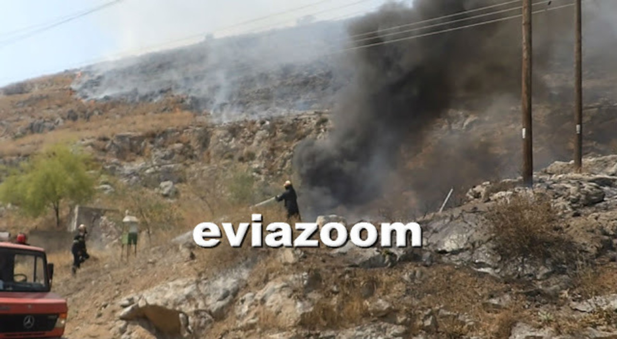 Εύβοια: Σε απόσταση αναπνοής από κατοικημένες περιοχές η φωτιά στη Χαλκίδα – ΒΙΝΤΕΟ