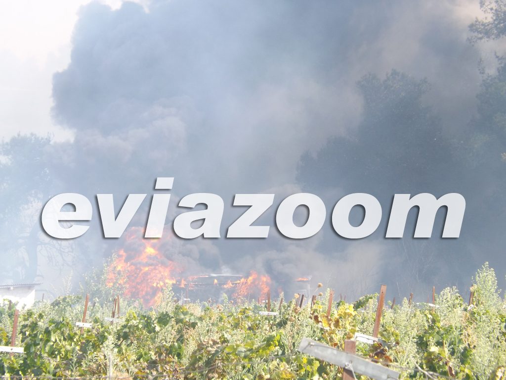Μεγάλη φωτιά στην Εύβοια