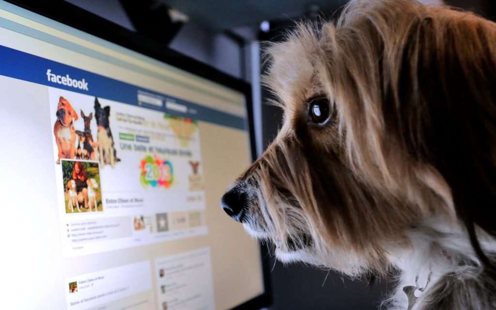 Το Facebook προσθέτει επιλογή για αναφορά των ψεύτικων ειδήσεων!