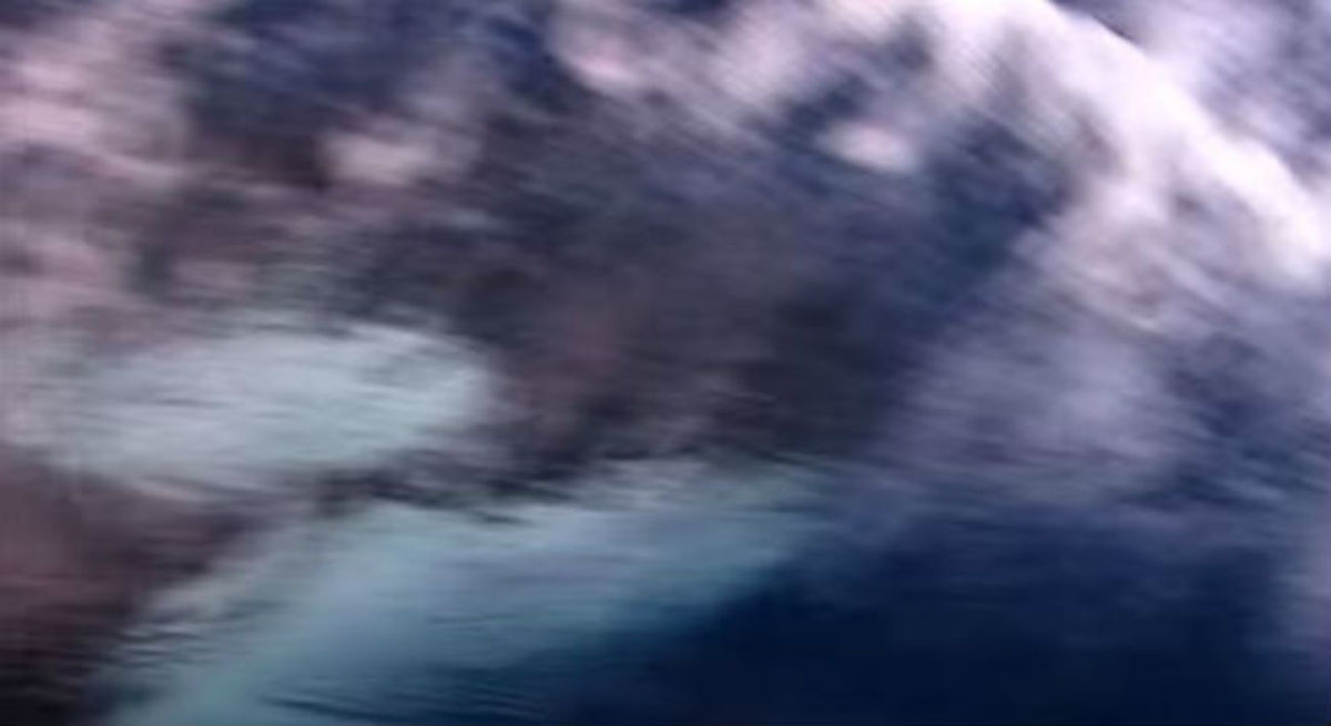 H φάλαινα όρκα που καταδιώκει την βάρκα (ΒΙΝΤΕΟ)