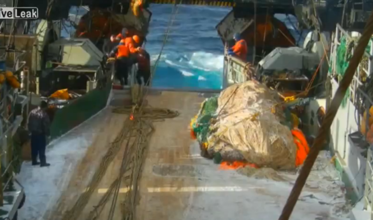 “Άνθρωπος στη θάλασσα” – Βίντεο με ναύτη να πέφτει από πλοίο στη βόρεια θάλασσα