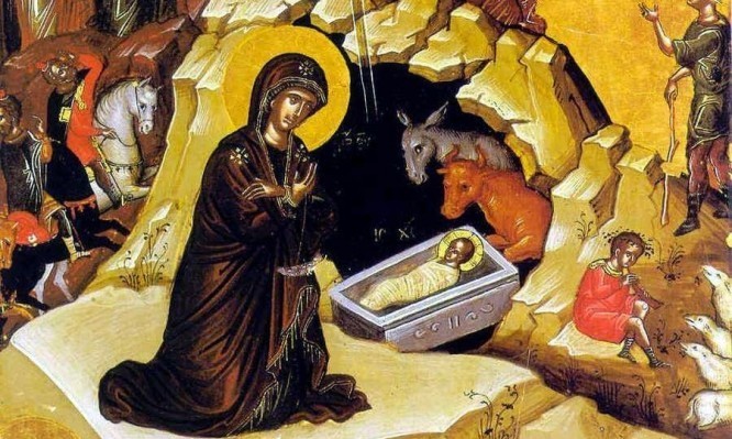 Μια γέρικη ελιά στη φάτνη του Ιησού