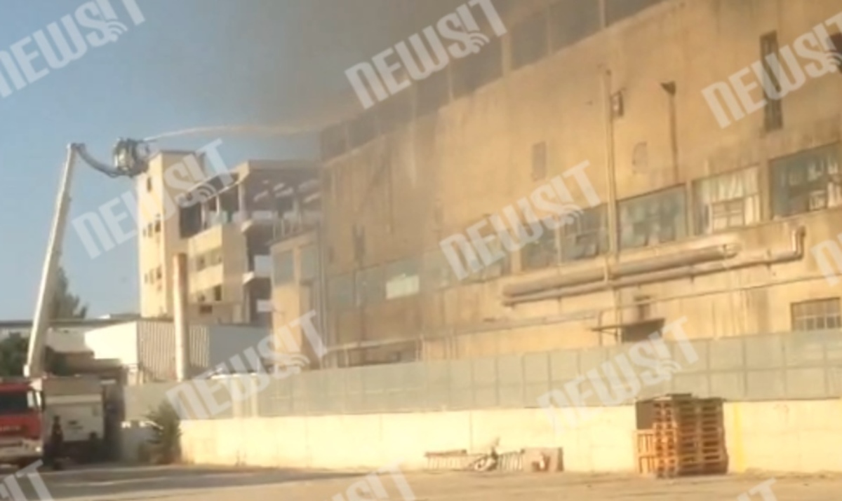 Φωτιά στη Softex