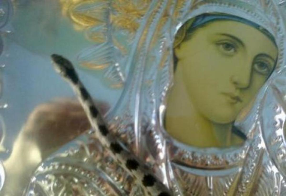Εμφανίστηκαν τα φιδάκια της Παναγίας στην Κεφαλλονιά