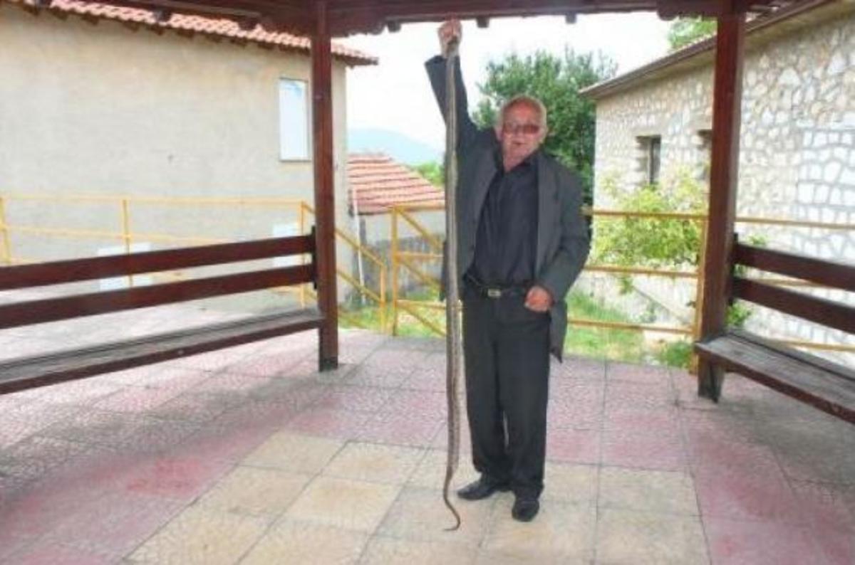 ΦΩΤΟ από το kozan.gr