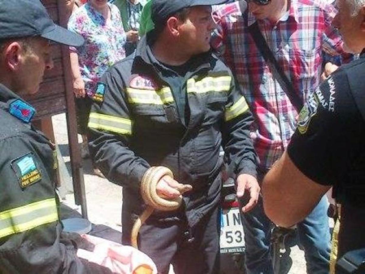 ΦΩΤΟ από το epirusgate