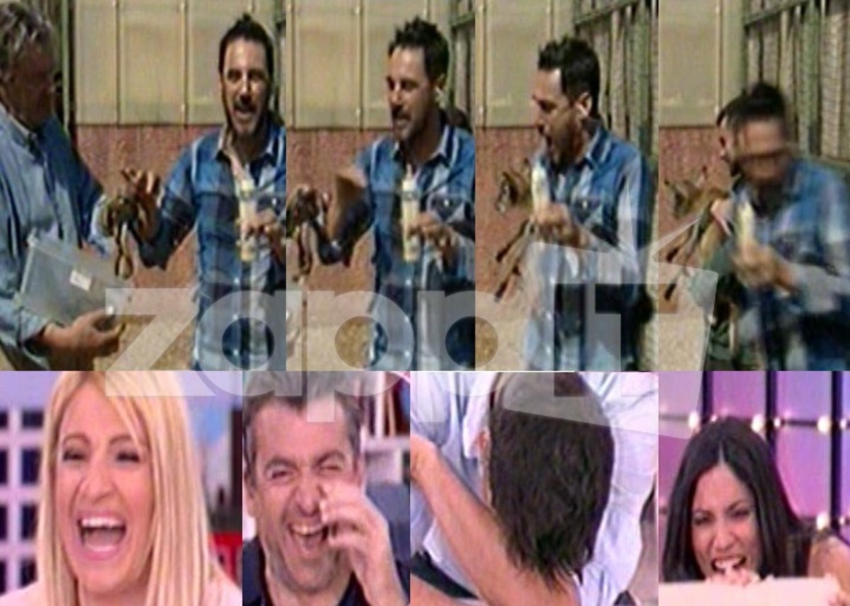 Φίδι δάγκωσε τον Χρήστο Νέζο την ώρα της ζωντανής σύνδεσης!