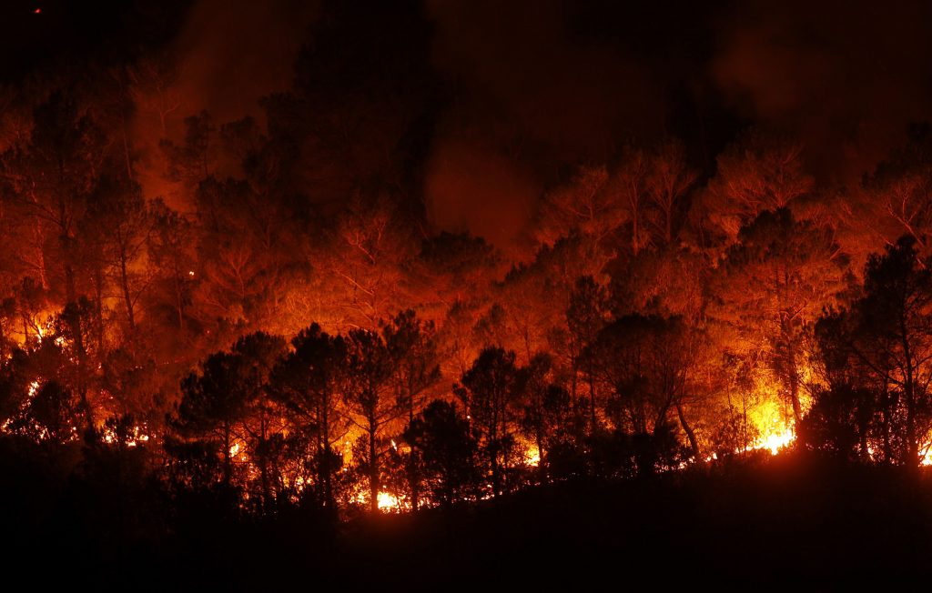 Κόλαση φωτιάς στη νοτιοανατολική Βουλγαρία