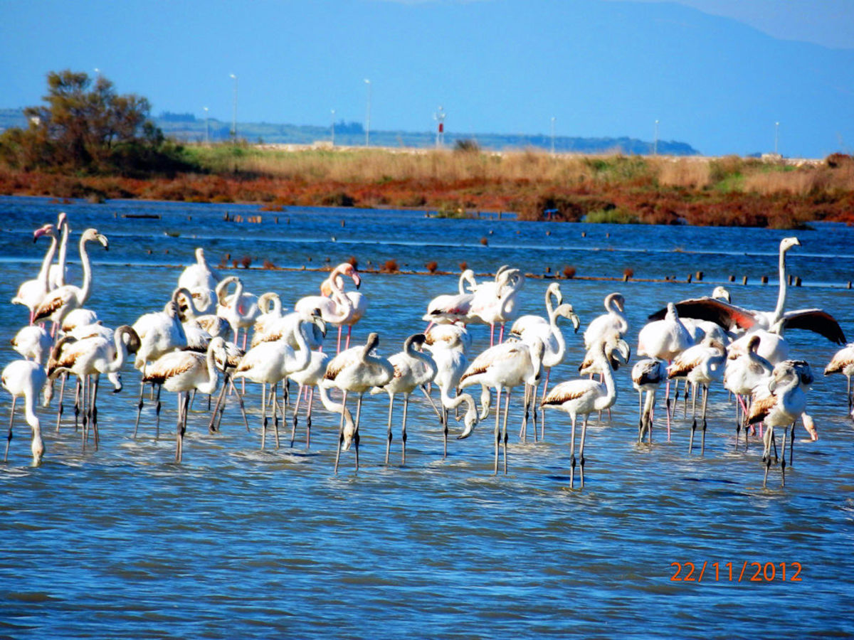 ΦΩΤΟ από το IliaLive