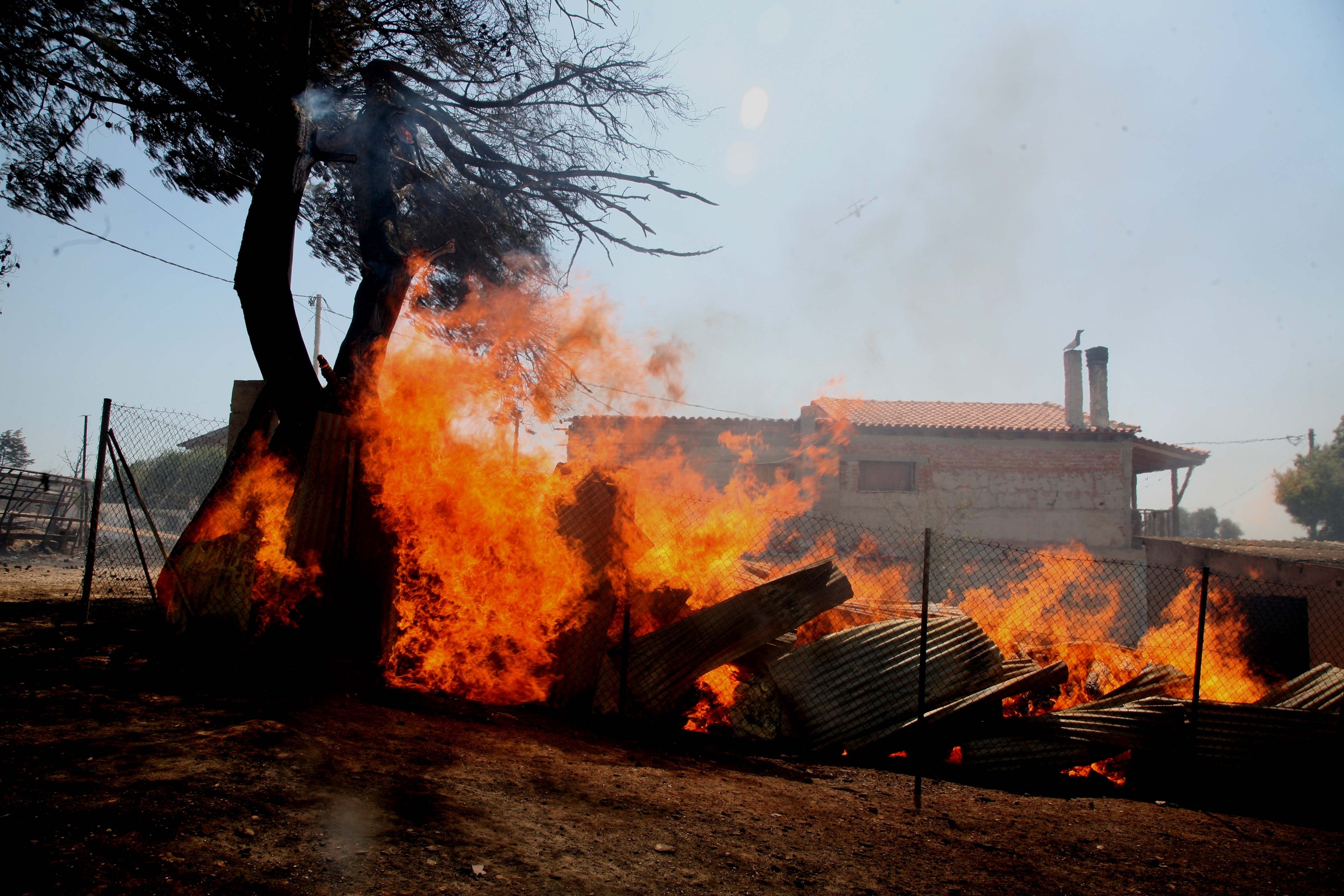 ΦΩΤΟ ΑΡΧΕΙΟΥ EUROKINISSI