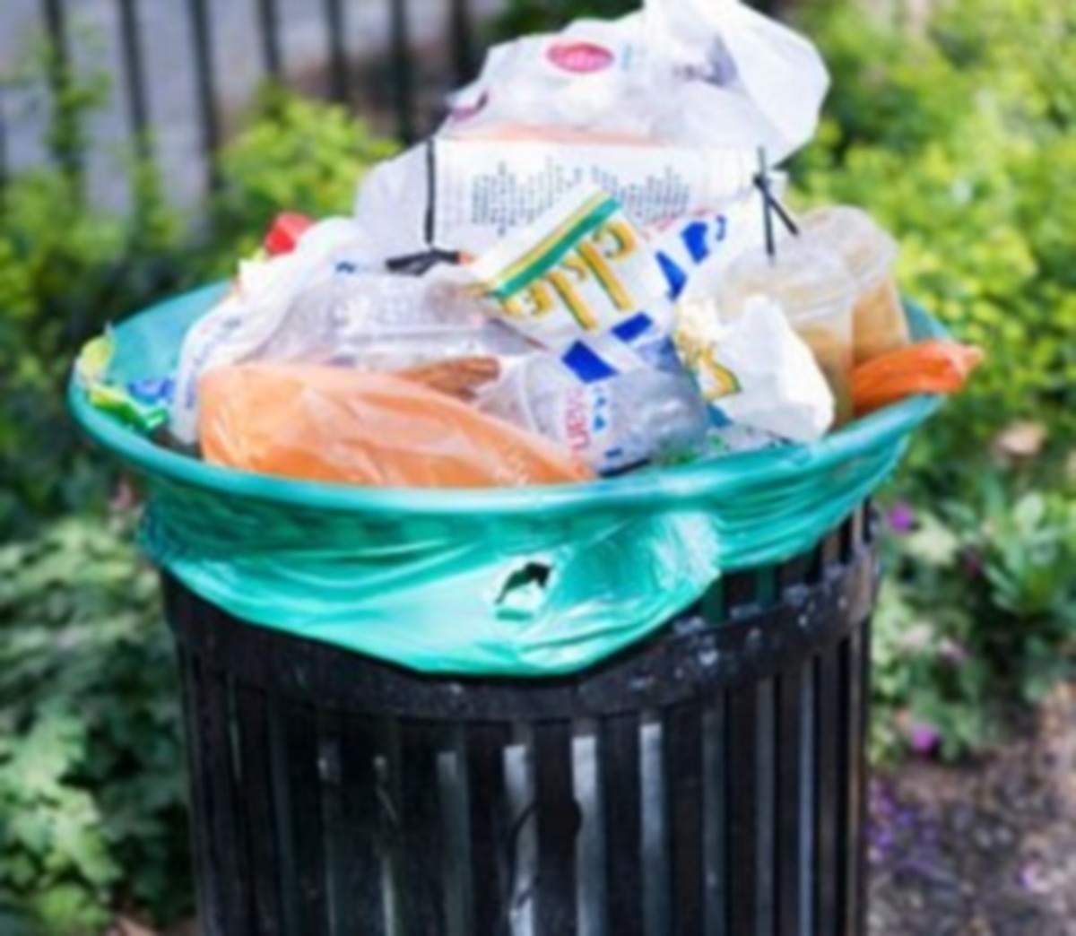 Πετάμε τα μισά απο τα τρόφιμα που παράγονται