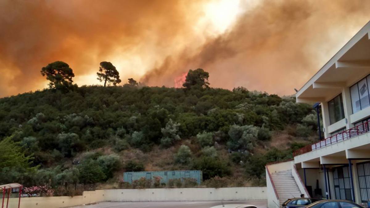 Πύρινη κόλαση στη Σιθωνία – Μάχη με τις φλόγες και τον άνεμο δίνουν οι πυροσβέστες – ΒΙΝΤΕΟ