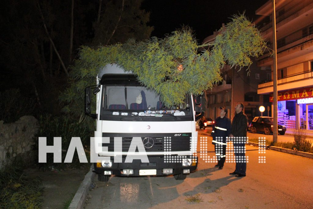 Δέντρο καταπλάκωσε φορτηγό στον Πύργο –  Φωτό και Video