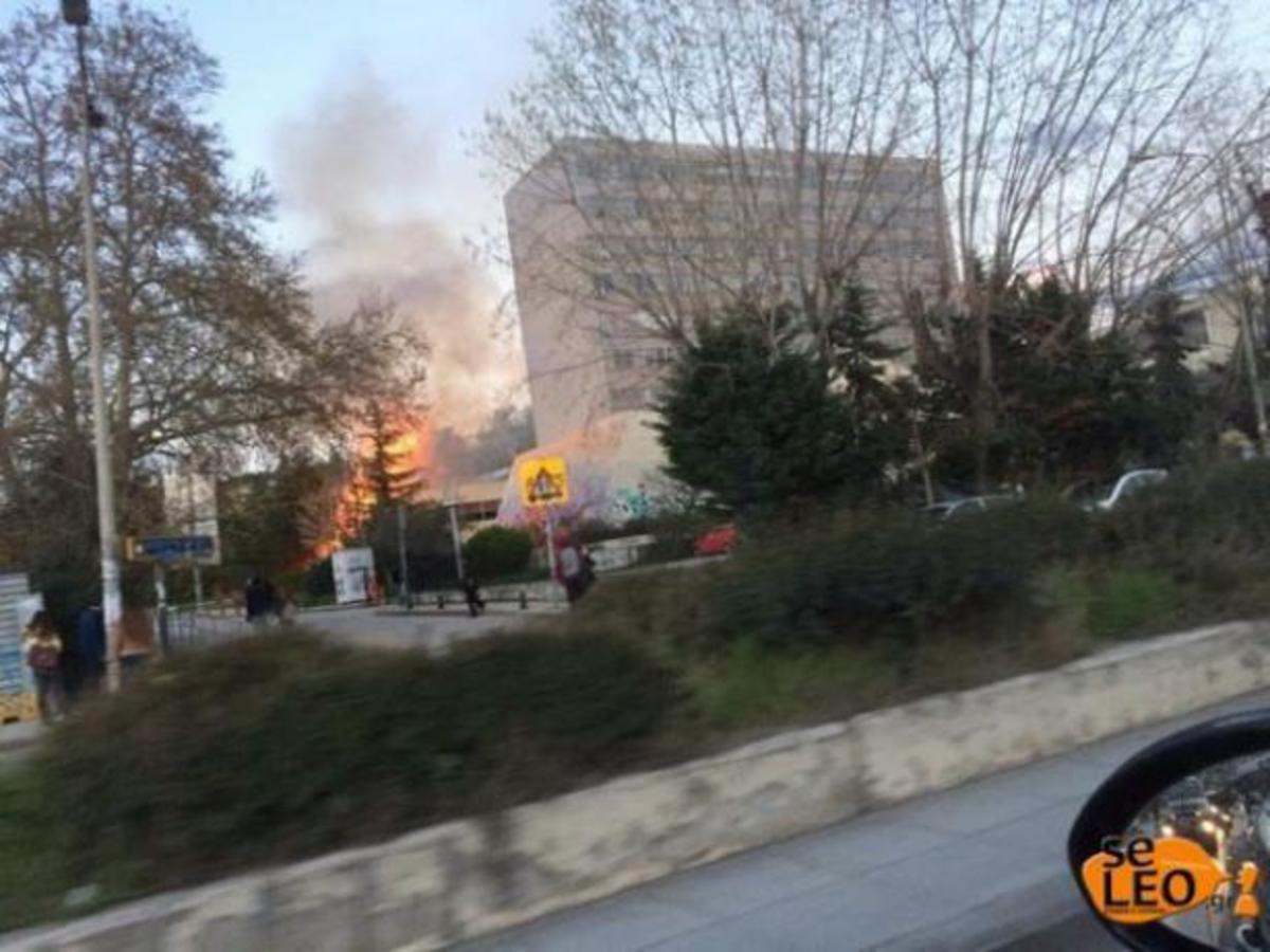ΦΩΤΟ από το seleo.gr