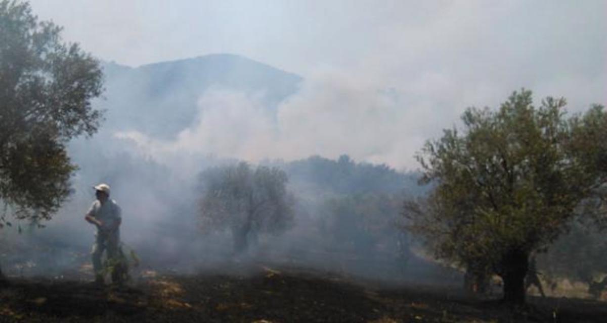 ΦΩΤΟ από το lesvosnews