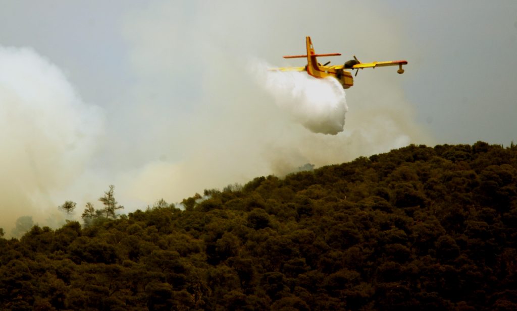 Υπό έλεγχο η πυρκαγιά στη Βοιωτία