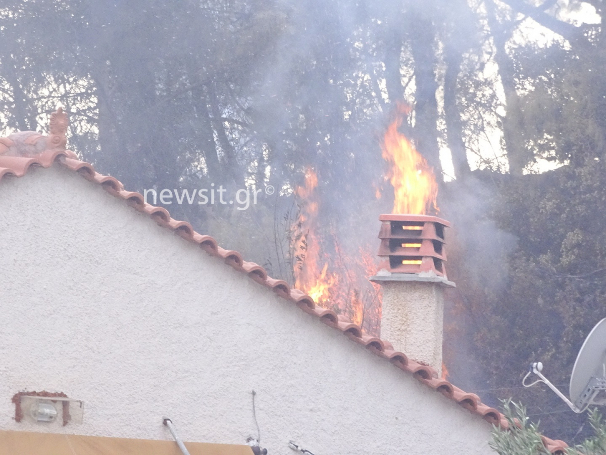 Μια νεκρή στη φωτιά στους Αγίους Θεοδώρους – Κάηκαν σπίτια! [vid, pics]