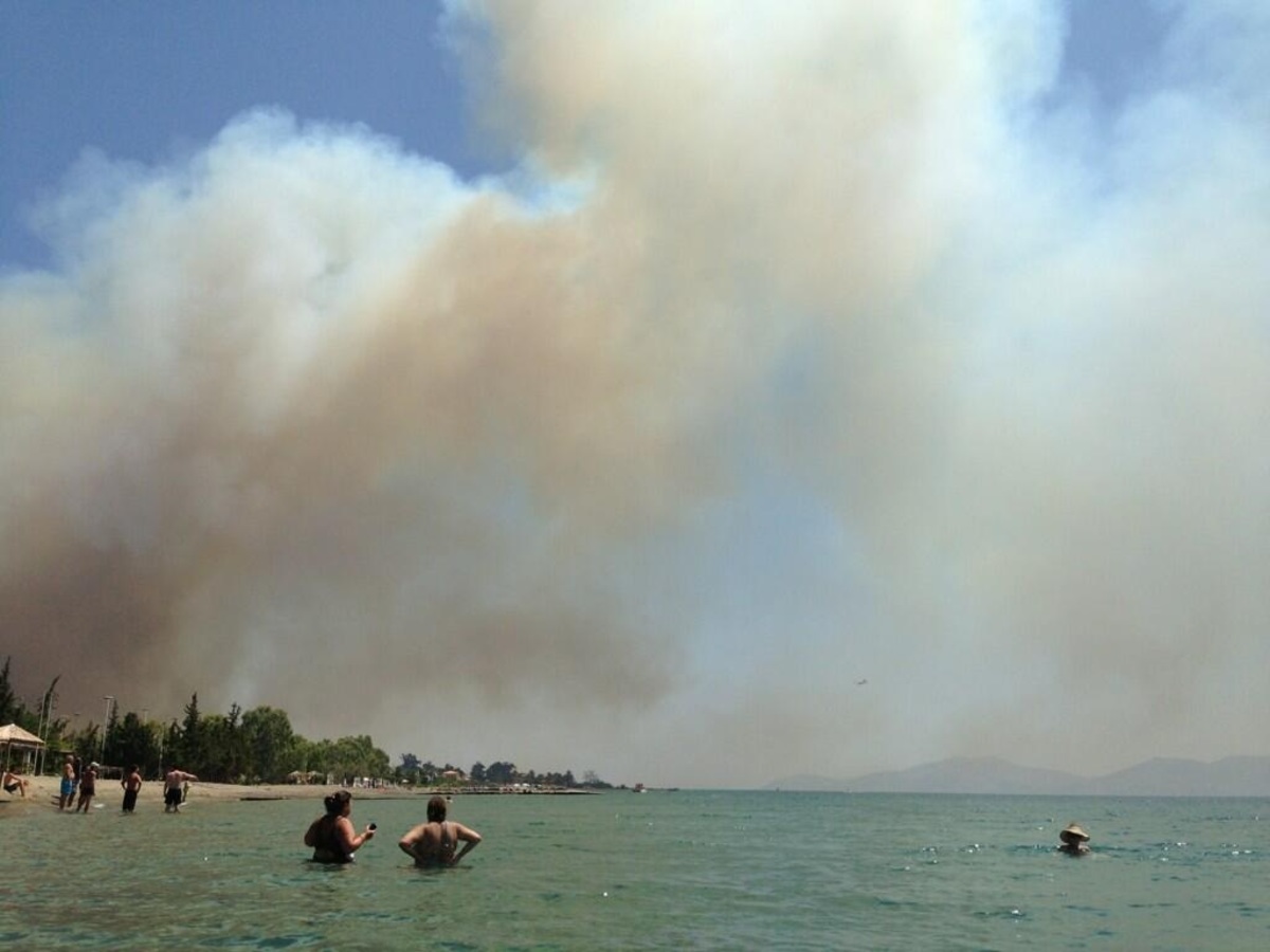 Η Έλλη Κοκκίνου σε ρόλο φωτορεπόρτερ μεταδίδει από το μέτωπο της φωτιάς!