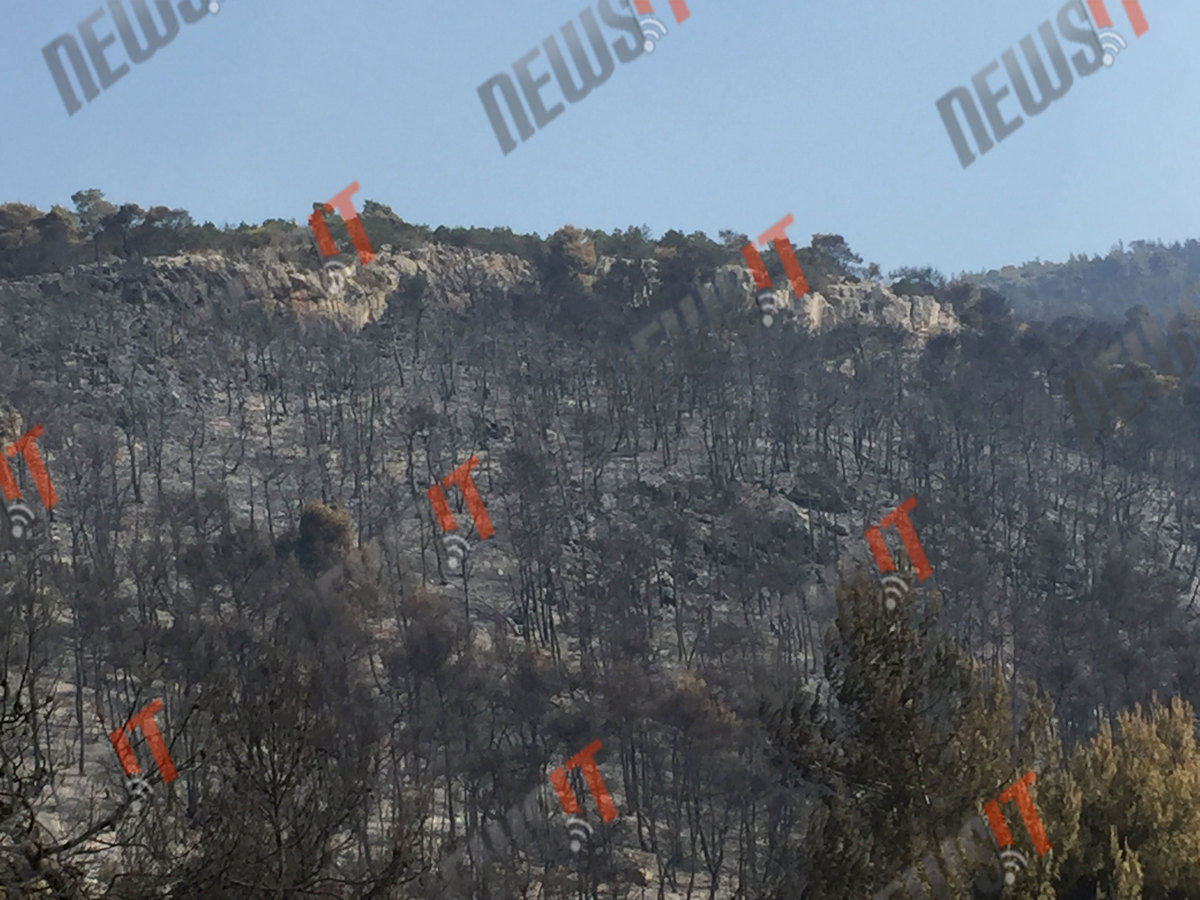 Άνιση μάχη με τις φλόγες στα Δερβενοχώρια – Αποπνικτική η ατμόσφαιρα ως την Αττική