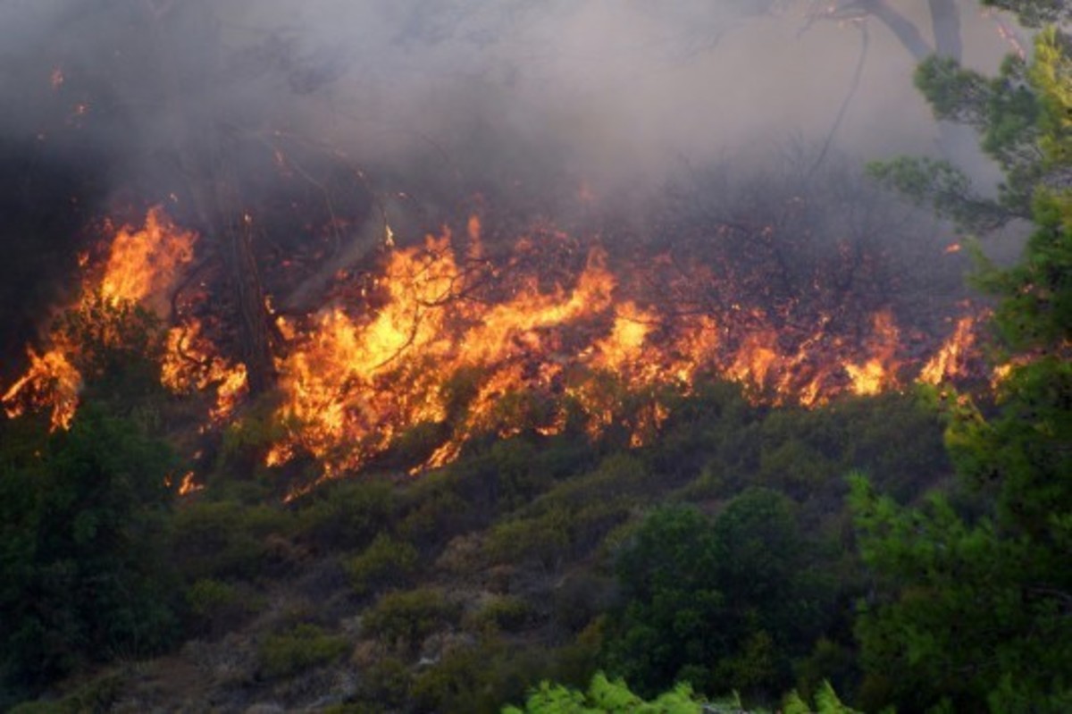 Πυρκαγιά στη Σκάλα Ωρωπού κοντά σε εξοχικές κατοικίες