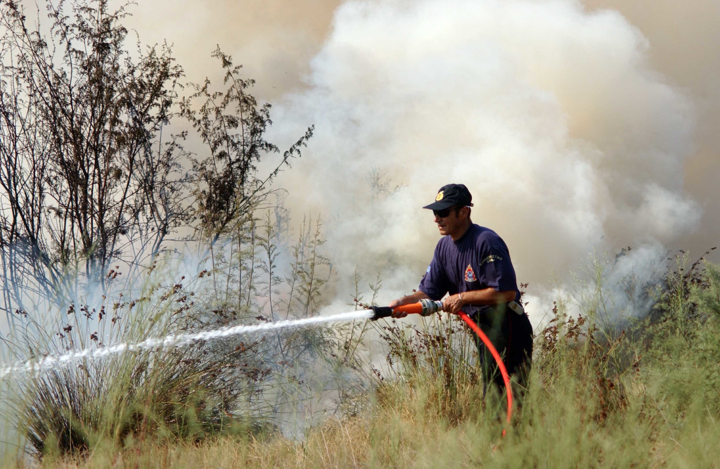 Εύβοια: Πυρκαγιά στο Αυλωνάρι