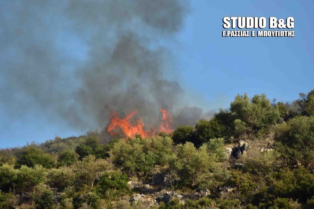 Φωτιά στην Προσύμνη Αργολίδας – Τέθηκε υπό έλεγχο μετά από ηρωική προσπάθεια των πυροσβεστών!