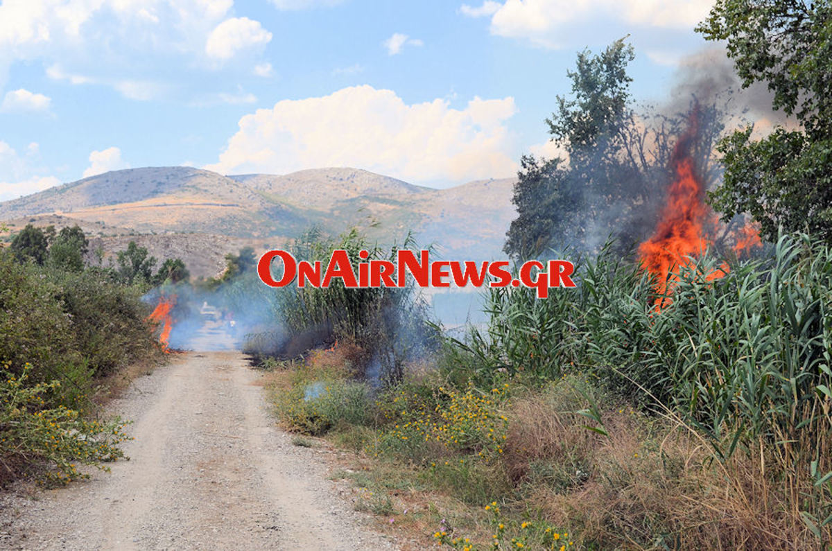 ΦΩΤΟ από το onairnews.gr