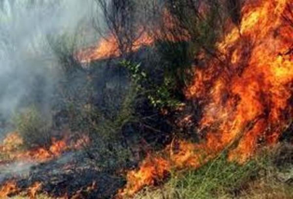 Τρεις εστίες φωτιάς στον Αλμυρό Μαγνησίας