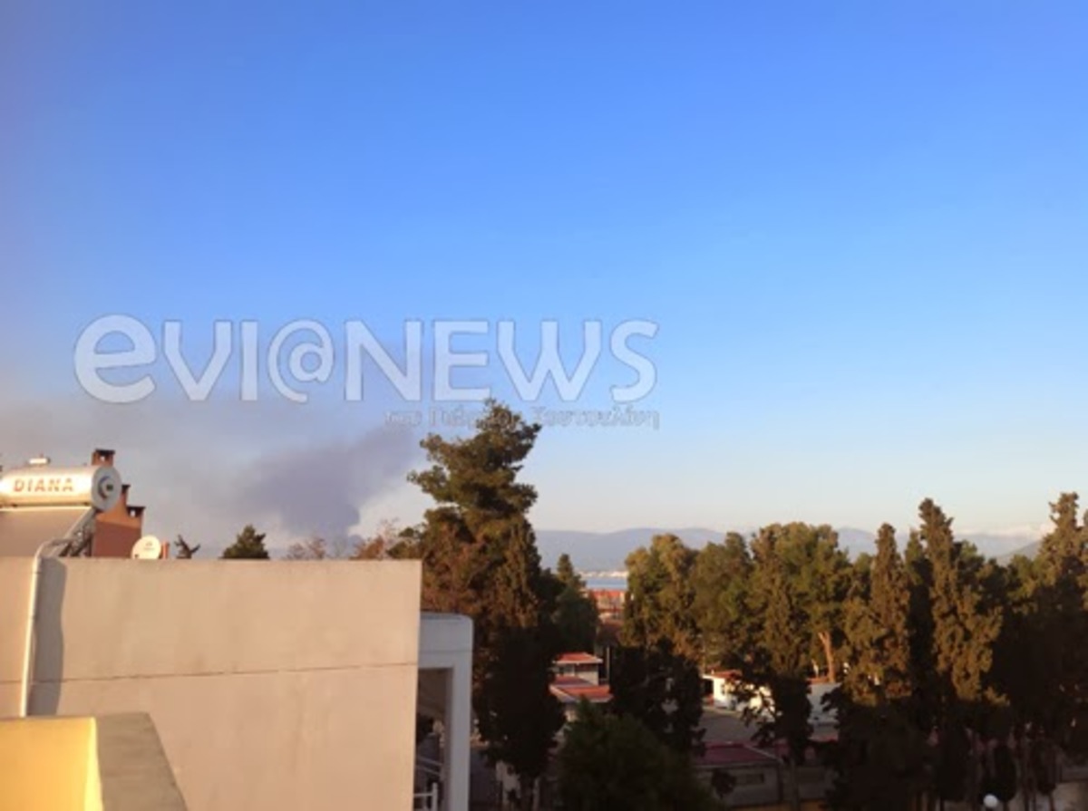 Εύβοια: Φωτιά σε εργοστάσιο στα Πολιτικά (ΦΩΤΟ)