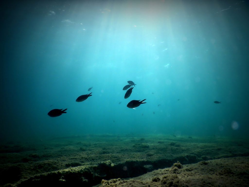 Κι όμως οι φωτογραφίες αυτές δεν είναι από εξωτικό νησί!