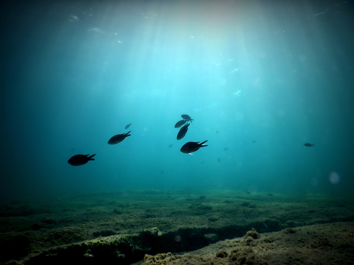 Κι όμως οι φωτογραφίες αυτές δεν είναι από εξωτικό νησί!