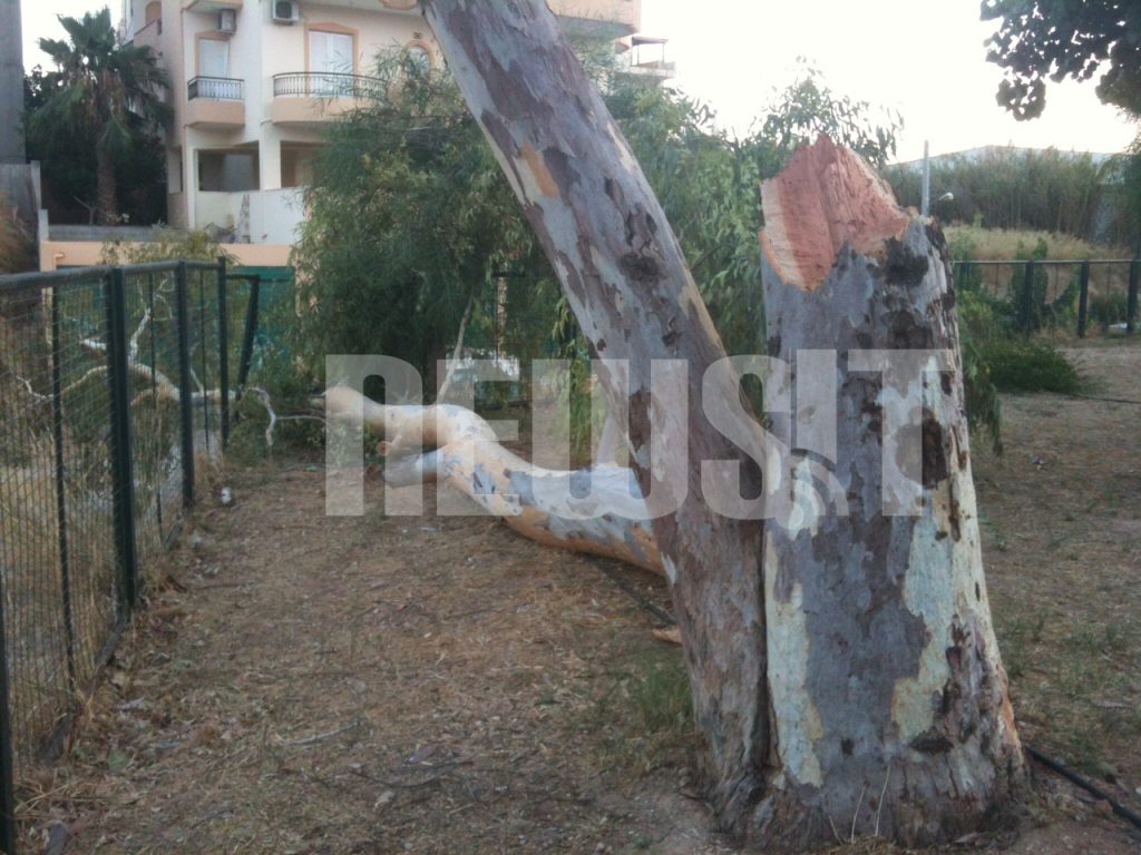 ΦΩΤΟ NEWSIT - Το δέντρο έπεσε πάνω στον φράκτη της παιδικής χαράς