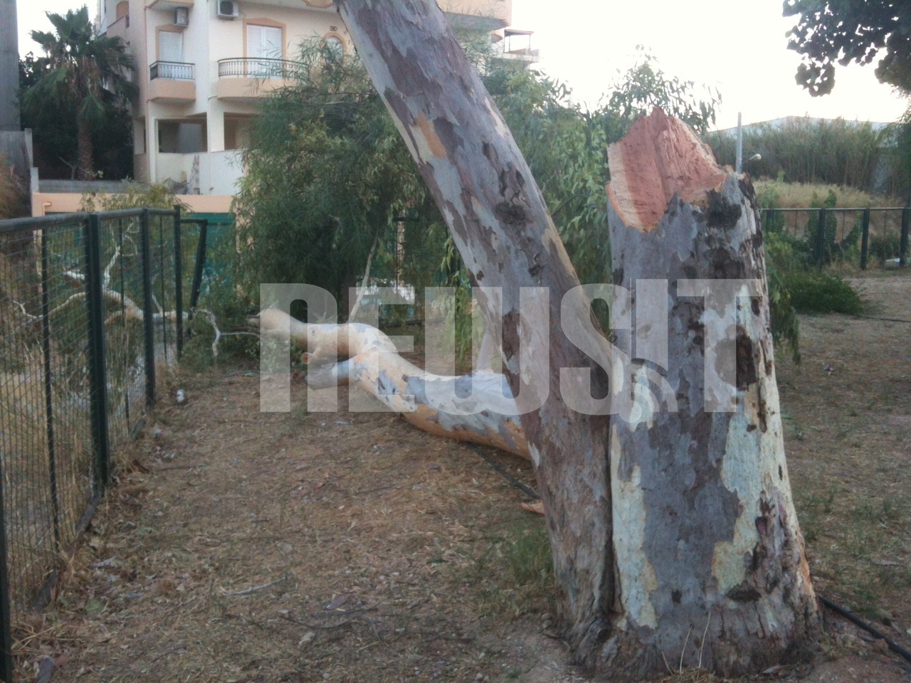 ΦΩΤΟ NEWSIT - Το δέντρο έπεσε πάνω στον φράκτη της παιδικής χαράς