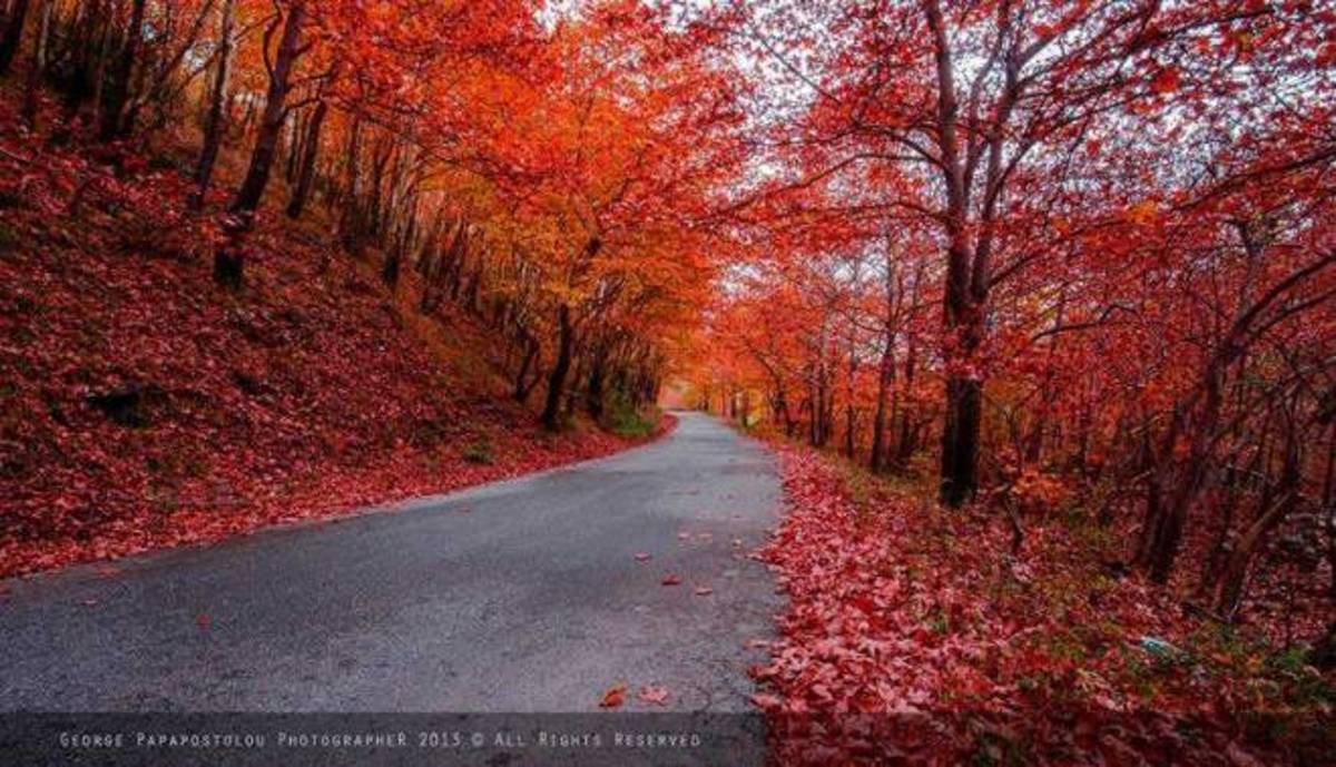 ΦΩΤΟ από thessalianews.gr