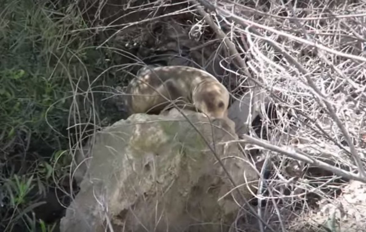 ΦΩΤΟ  από το FlashNews