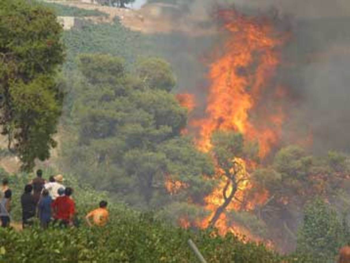Φωτιές σε Τρίκαλα και Χαλκίδα – Υπό πλήρη έλεγχο η πυρκαγιά στις Σέρρες