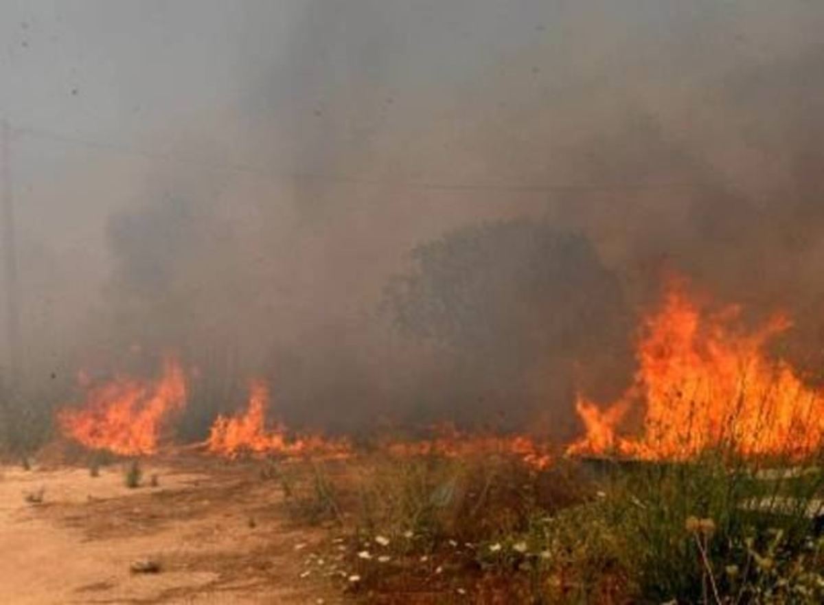 Χανιά: Φωτιά κοντά στο στρατόπεδο Ταυρωνίτη