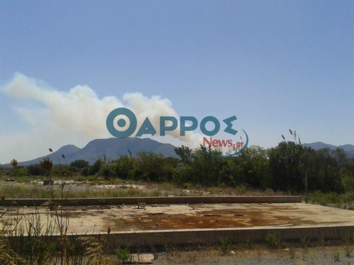 φωτό από tharrosnews.gr