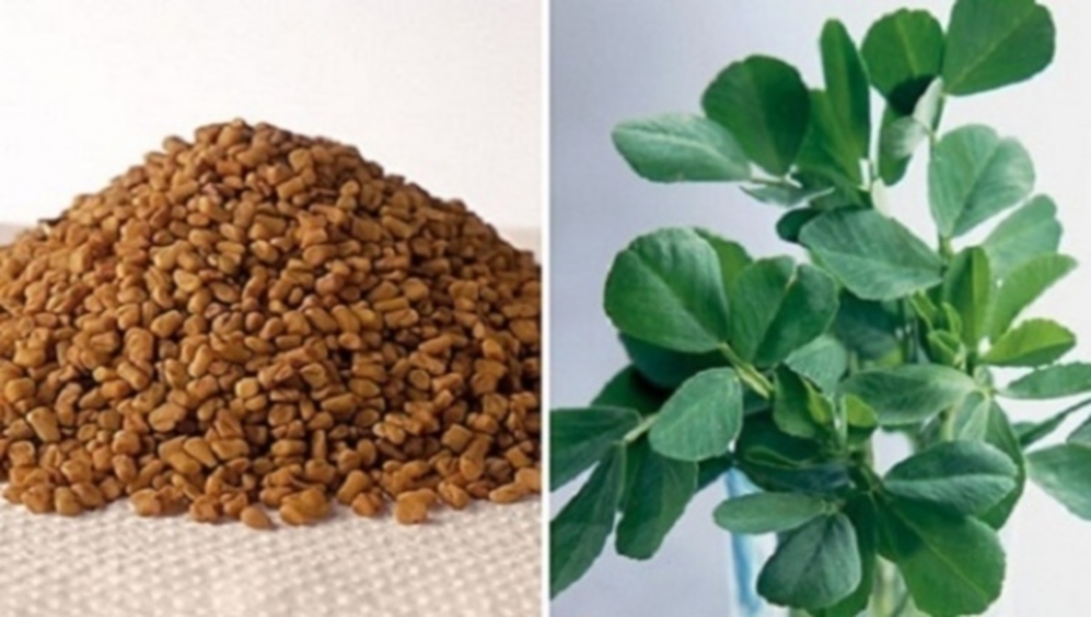 “Θαύμα” της Φύσης: Ο καρπός που αυξάνει φυσικά το στήθος και αδυνατίζει