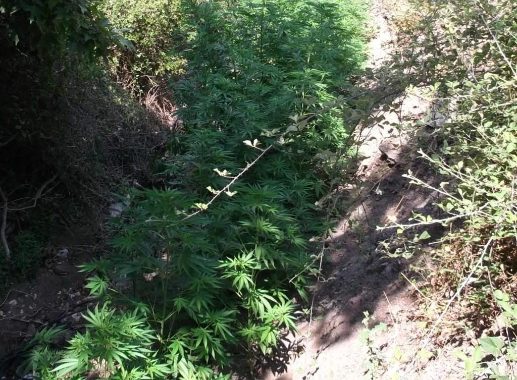 ΦΩΤΟ ΑΠΕ-ΜΠΕ