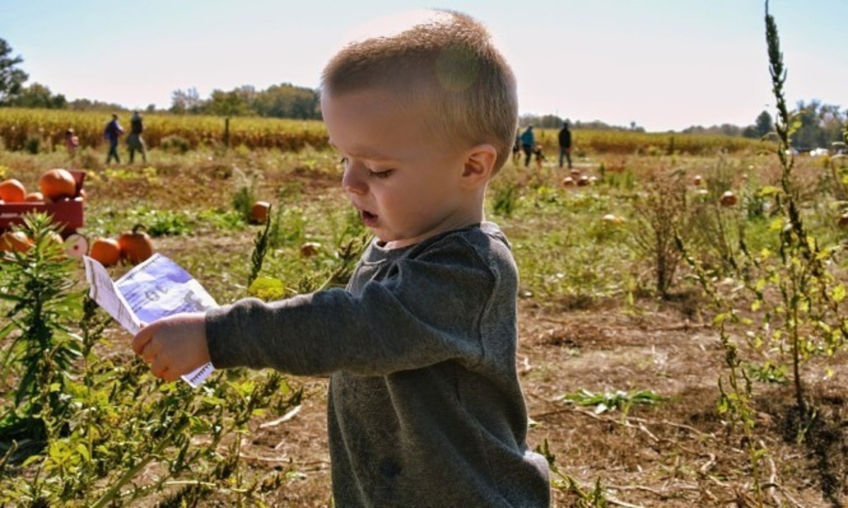 Έρευνα-ΣΟΚ: Φυτοφάρμακα προκαλούν ίδια προβλήματα στα παιδιά με το κάπνισμα!