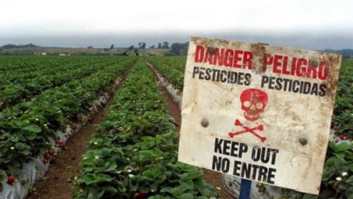 Αυτές είναι οι τροφές με τα περισσότερα φυτοφάρμακα