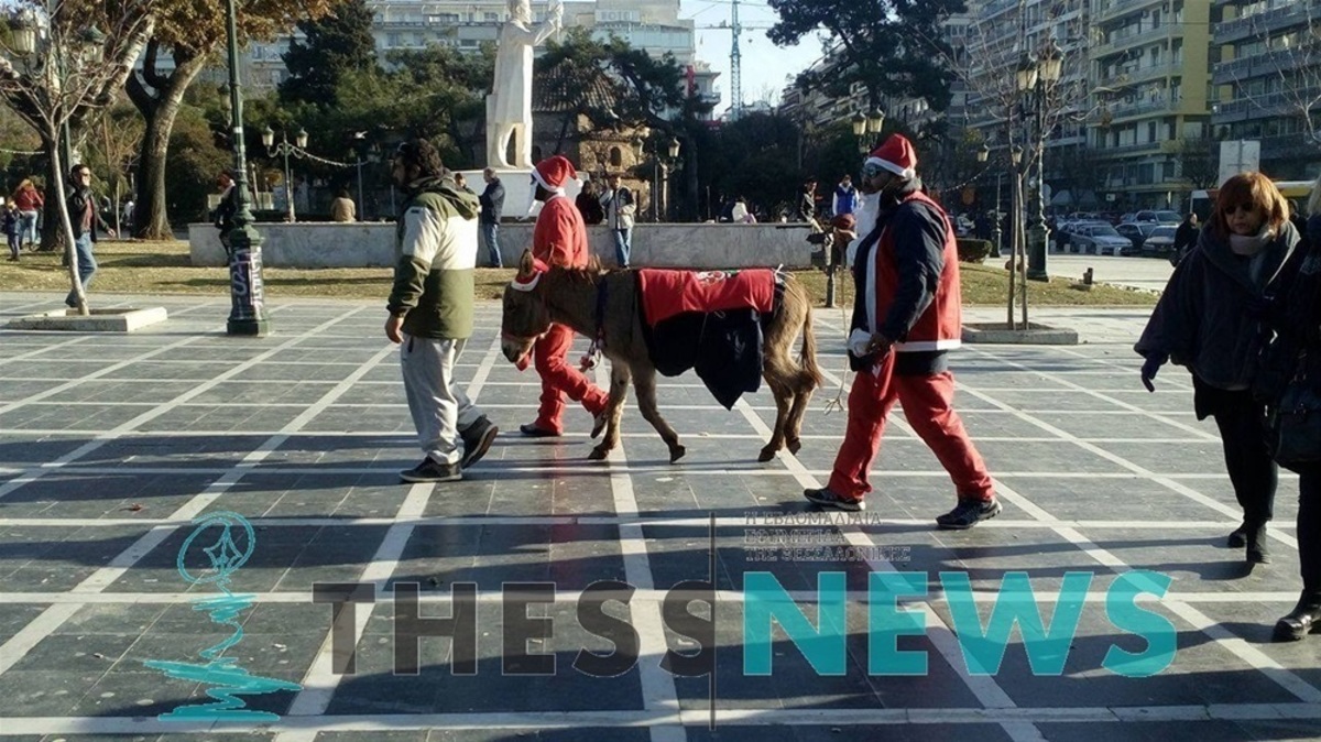 Θεσσαλονίκη: Γαϊδουράκι… Άγιος Βασίλης έγινε η μασκότ στην πλατεία Αριστοτέλους! [vid]