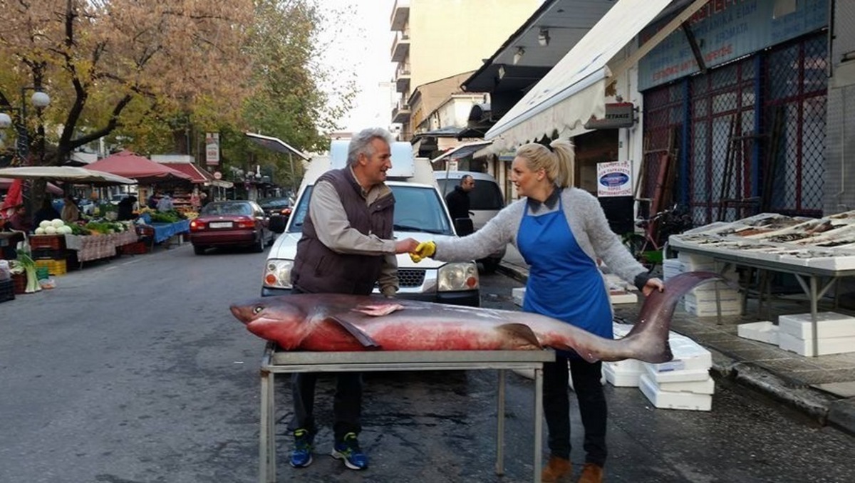 ΦΩΤΟ από το trikalavoice