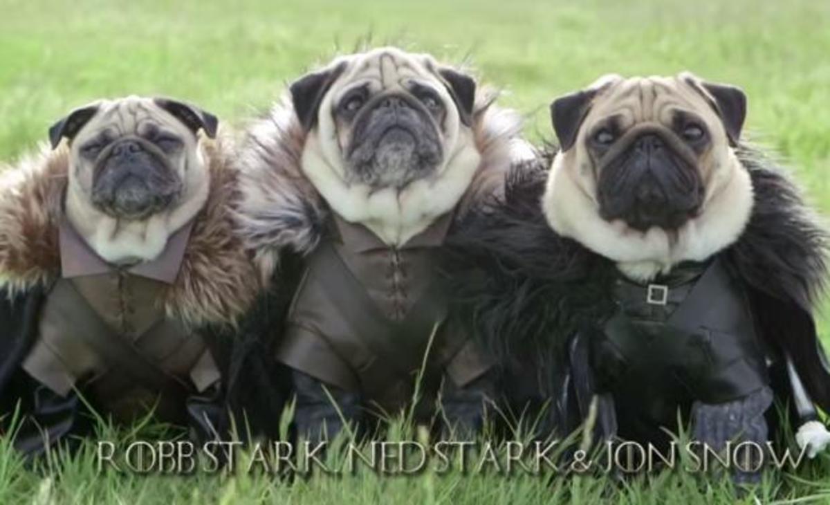 Αντικατέστησαν τους ήρωες του Game Of Thrones με σκυλάκια! (βίντεο)