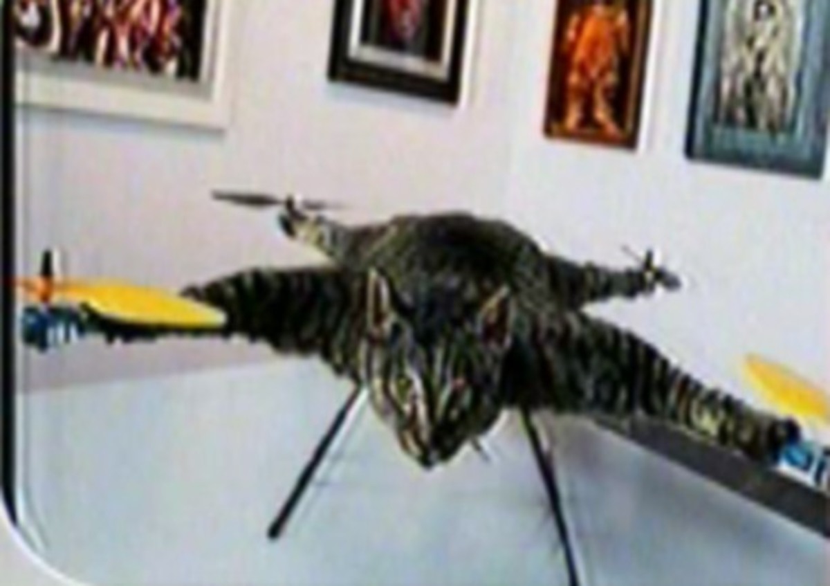 Εξοργιστικό! Έβαλε στη γάτα του έλικες και την έκανε τηλεκατευθυνόμενο!