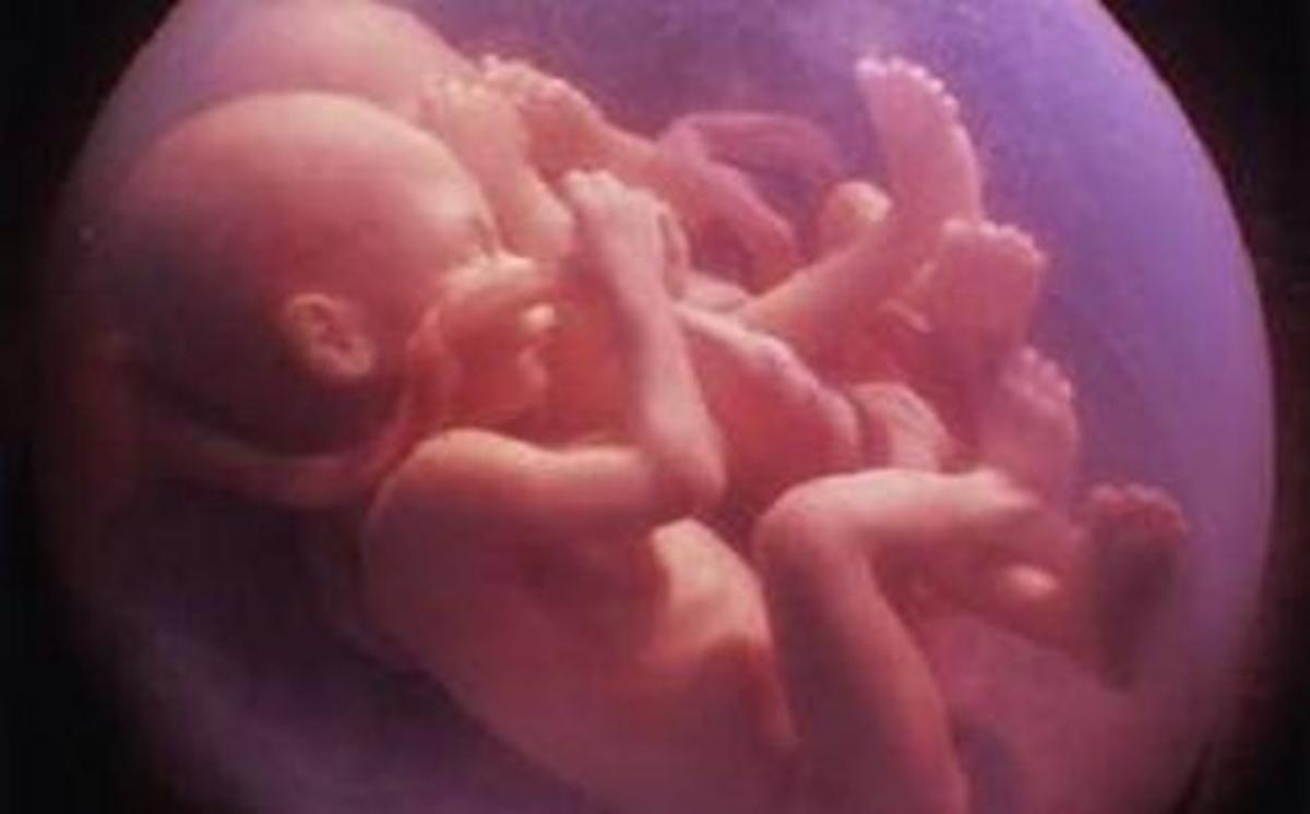 Ένας έξυπνος διάλογος: Υπάρχει ζωή μετά τη γέννηση;