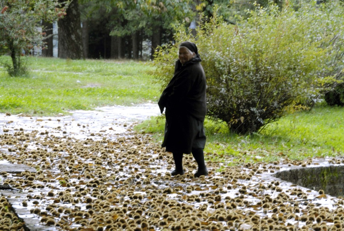 ΦΩΤΟ ΑΡΧΕΙΟΥ EUROKINISSI