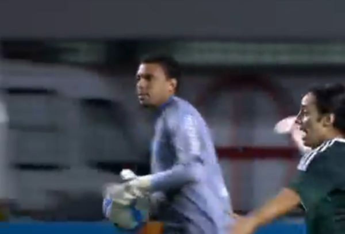 Τι έκανε ο άνθρωπος; – Από σωτήρας… δήμιος – Δείτε το βίντεο